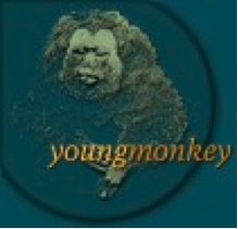 youngmonkey